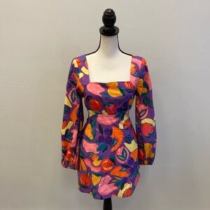 NWT Farm Rio Dress